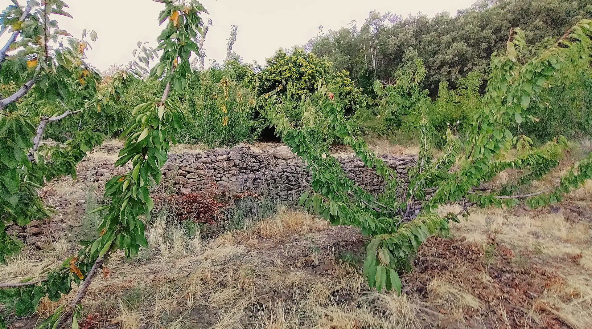 Terrain rustique à vendre à Avenida Extremadura 72, imagen 16