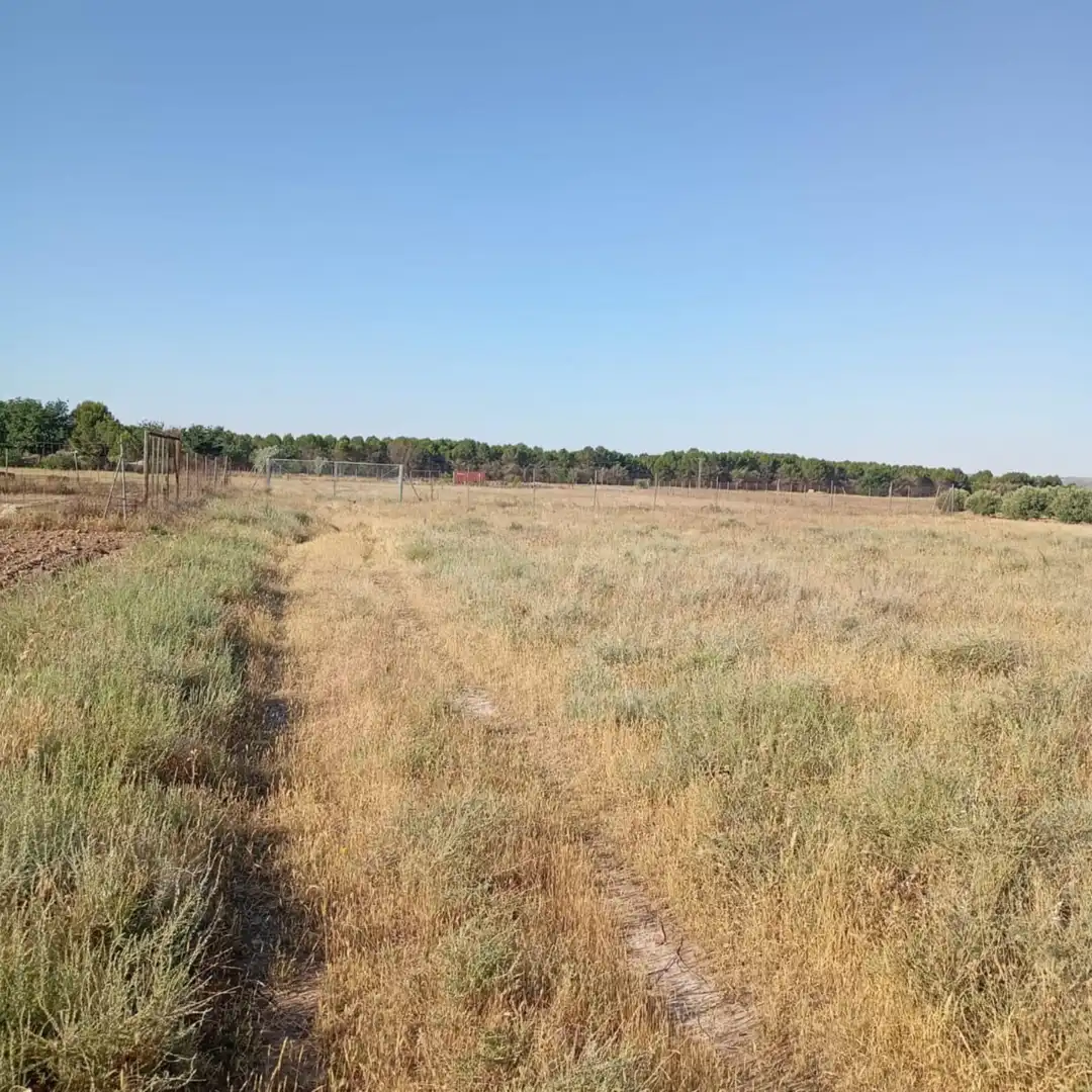 Terreny rústic en venda a Camino del Cuadrado 50, imagen 31