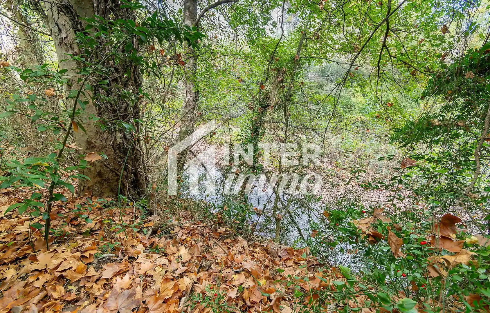 Maison avec jardin à vendre à Calle DE LA RESCLOSA 7, imagen 56