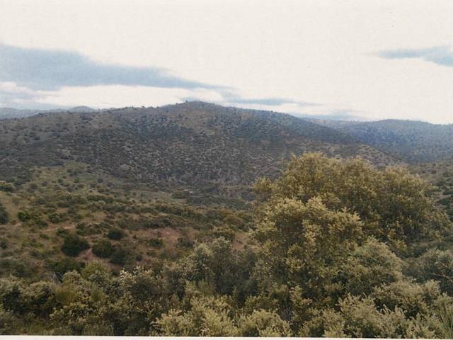 Terreno residencial en Venta en Mestanza