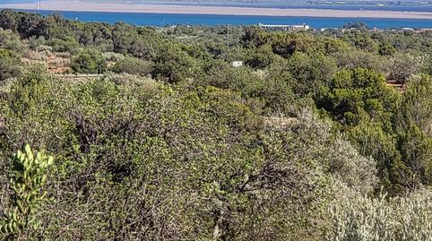 Photo 4 of Country house for sale in El Perelló, Tarragona