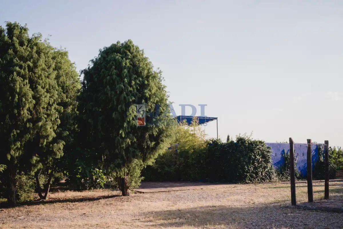 Finca rústica en venta en Torrenueva con Calefacción, Terraza y Trastero