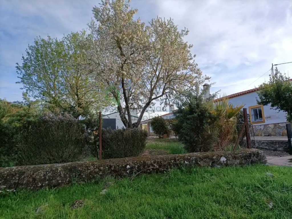 Casa o xalet en venda en Olivenza amb Forn i Rentadora