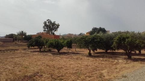 Foto 2 de Planta baixa en venda a La Pinilla - Las Palas, Murcia