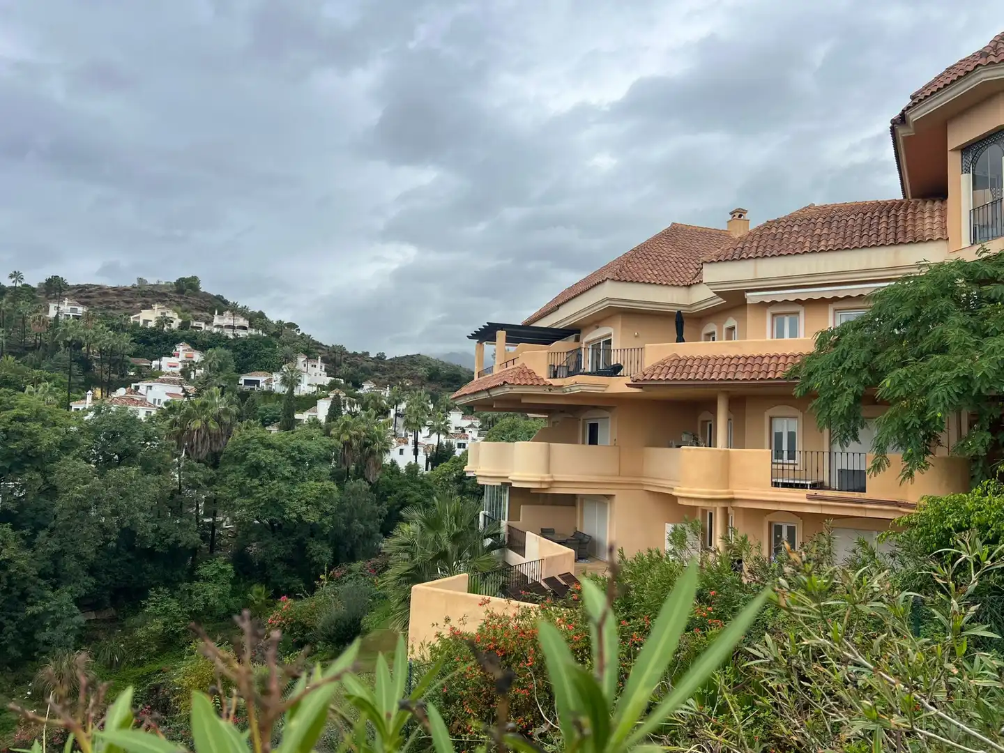 Apartments for rent in Los Naranjos