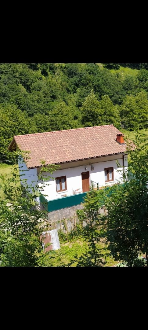 Exterior view of House or chalet for sale in Leaburu  with Terrace