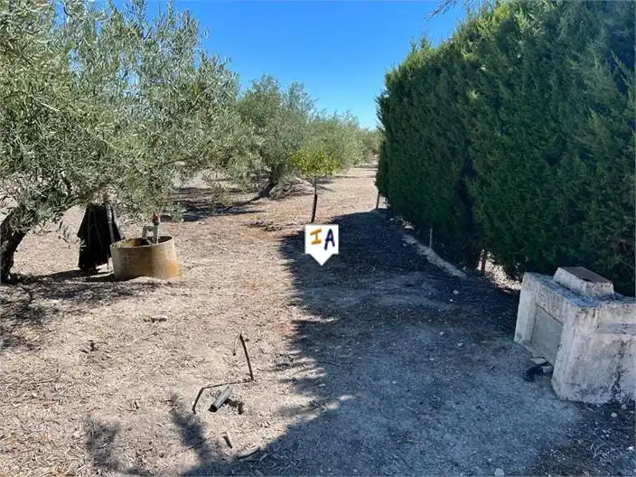 Country homes for sale in Martos