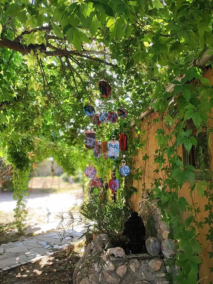 Jardí de Finca rústica en venda en Vallmoll