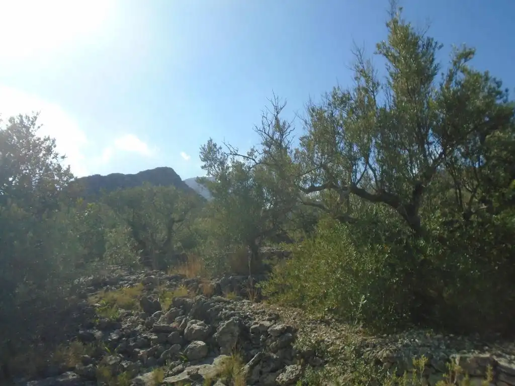Residential land for sale in Vall D'En Pasto, imagen 9