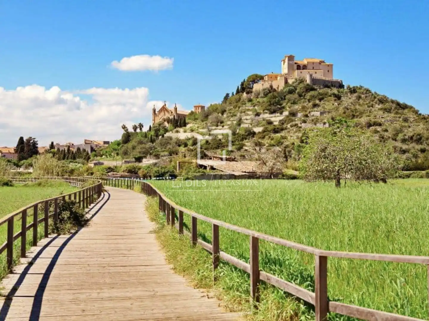 Villa avec piscine à vendre à Colònia de Sant Pere, imagen 21