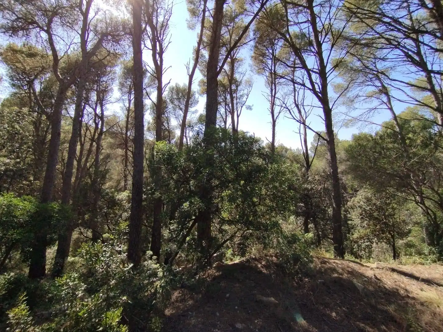 Residencial en venta en Begur