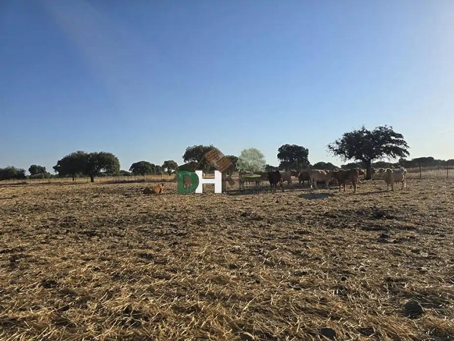 Terreni e lotti in vendita a Dehesilla de Calamón - Campomanes, imagen 2