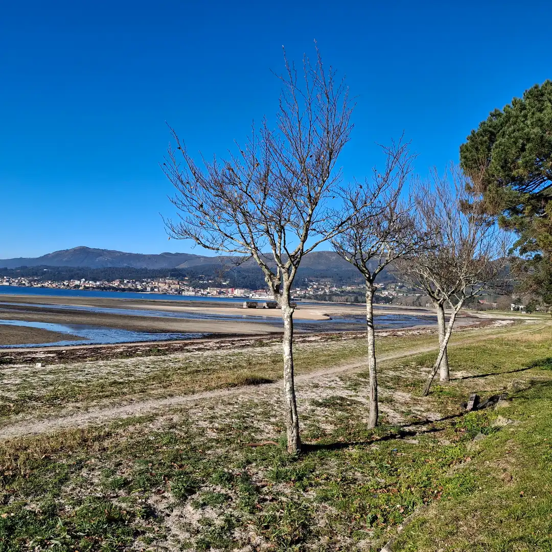 Houses for sale in Avenida de Barraña, 89, Boiro