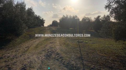 Imatge 2 de l'anunci