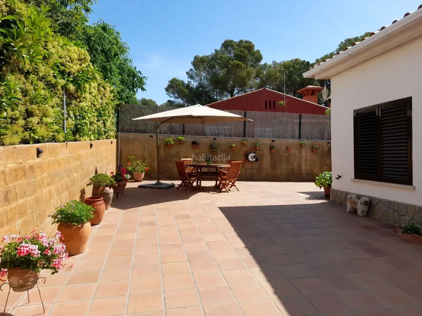 Villa con giardino in vendita a Carrer Verge de Montserrat 12, imagen 4