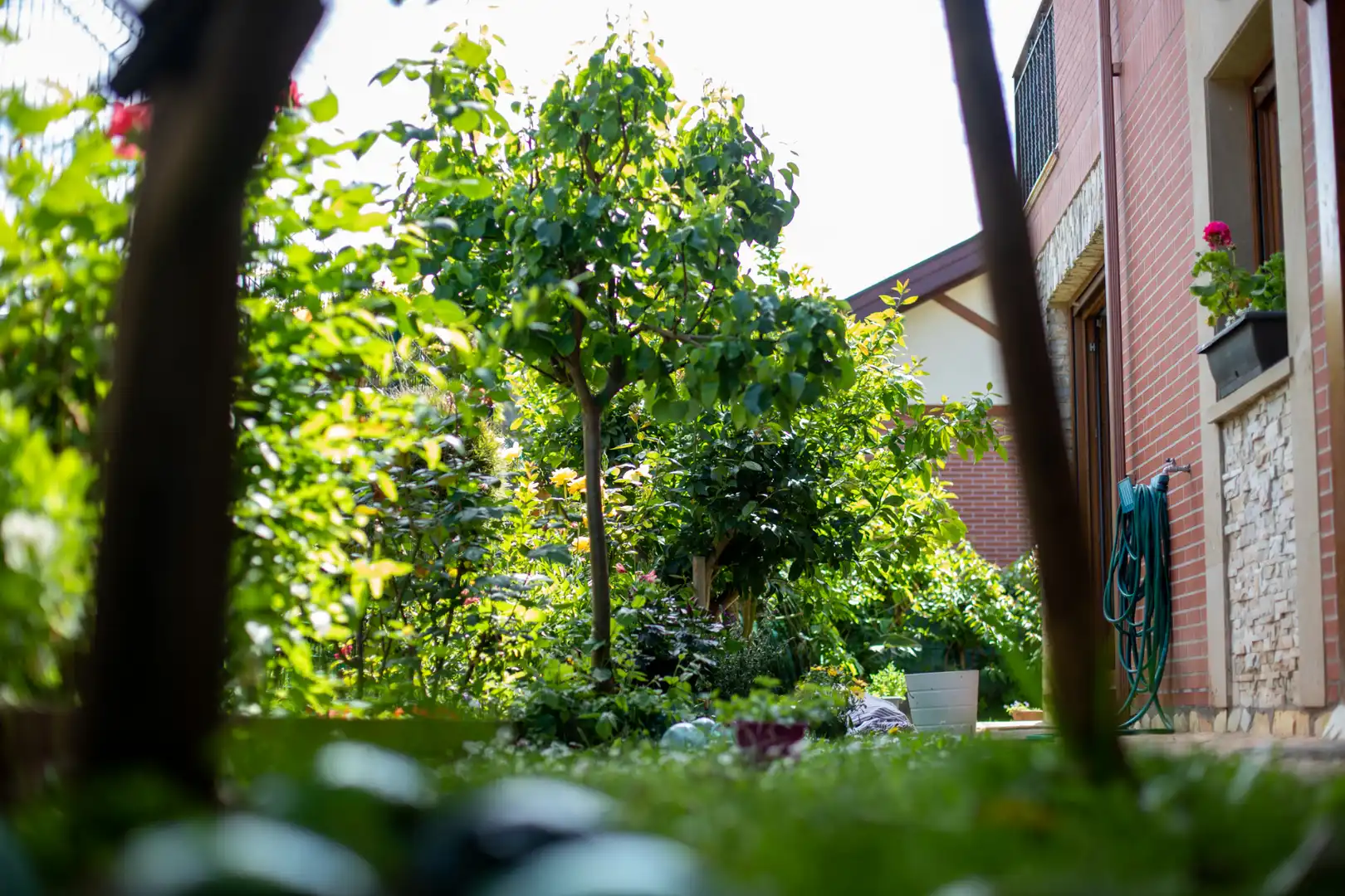 Jardí de Casa o xalet en venda en Piélagos amb Calefacció, Jardí privat i Terrassa