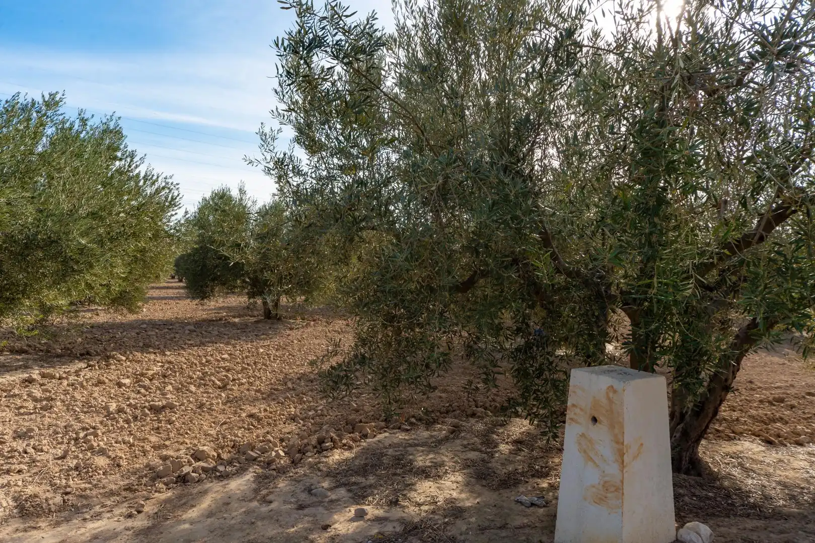 Terreno en venta en Polígono Parcela 66-65, 16, Crevillent