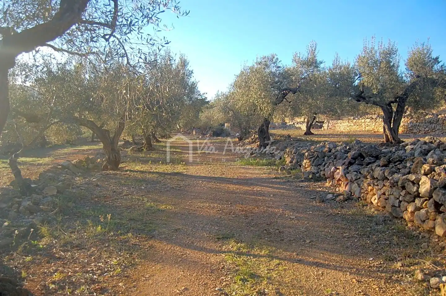 Terreno rustico in vendita a Burgà, imagen 19