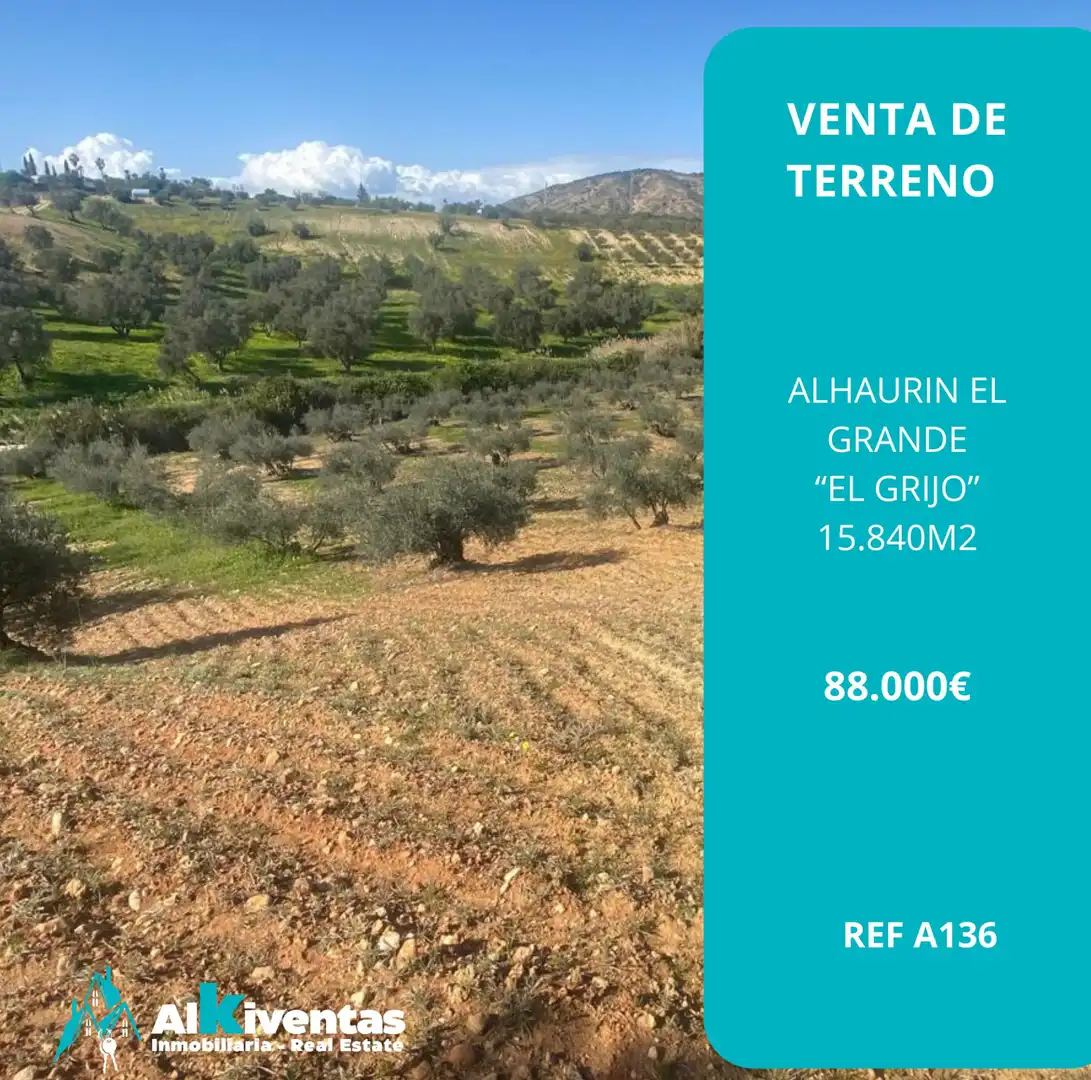 Terreni e lotti in vendita a Centro