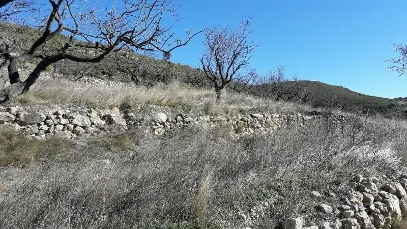 Rustikales Grundstück zum Verkauf in Tírig, imagen 6