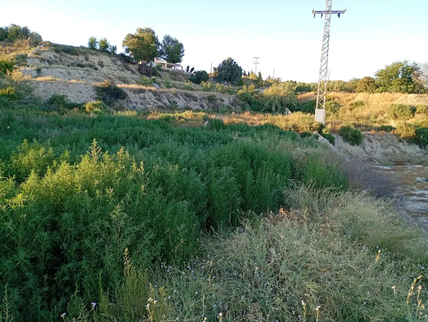 Rural land for sale in Archena, imagen 29