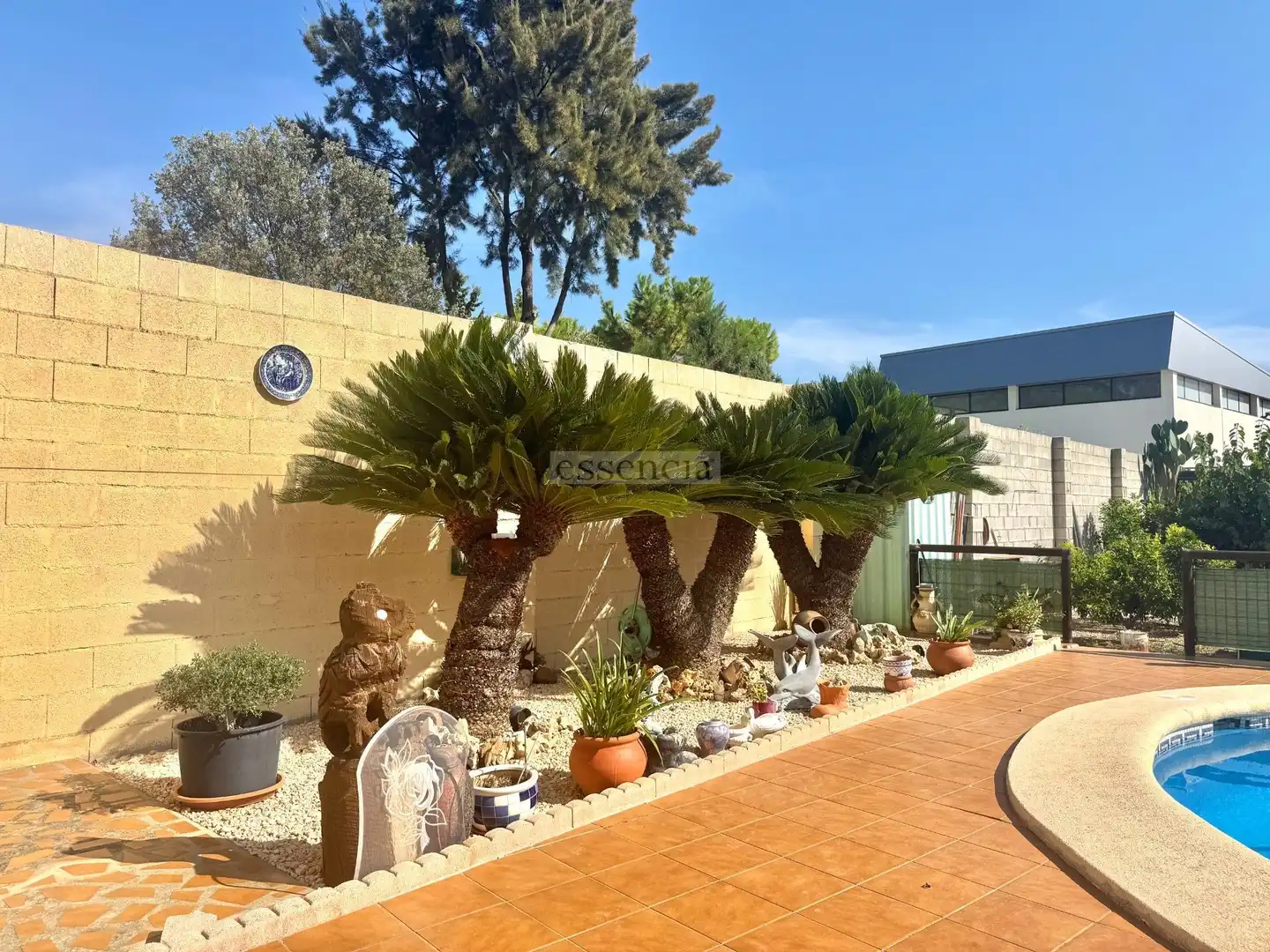 Jardín de Casa o chalet en venta en Palmera con Aire acondicionado, Terraza y Trastero