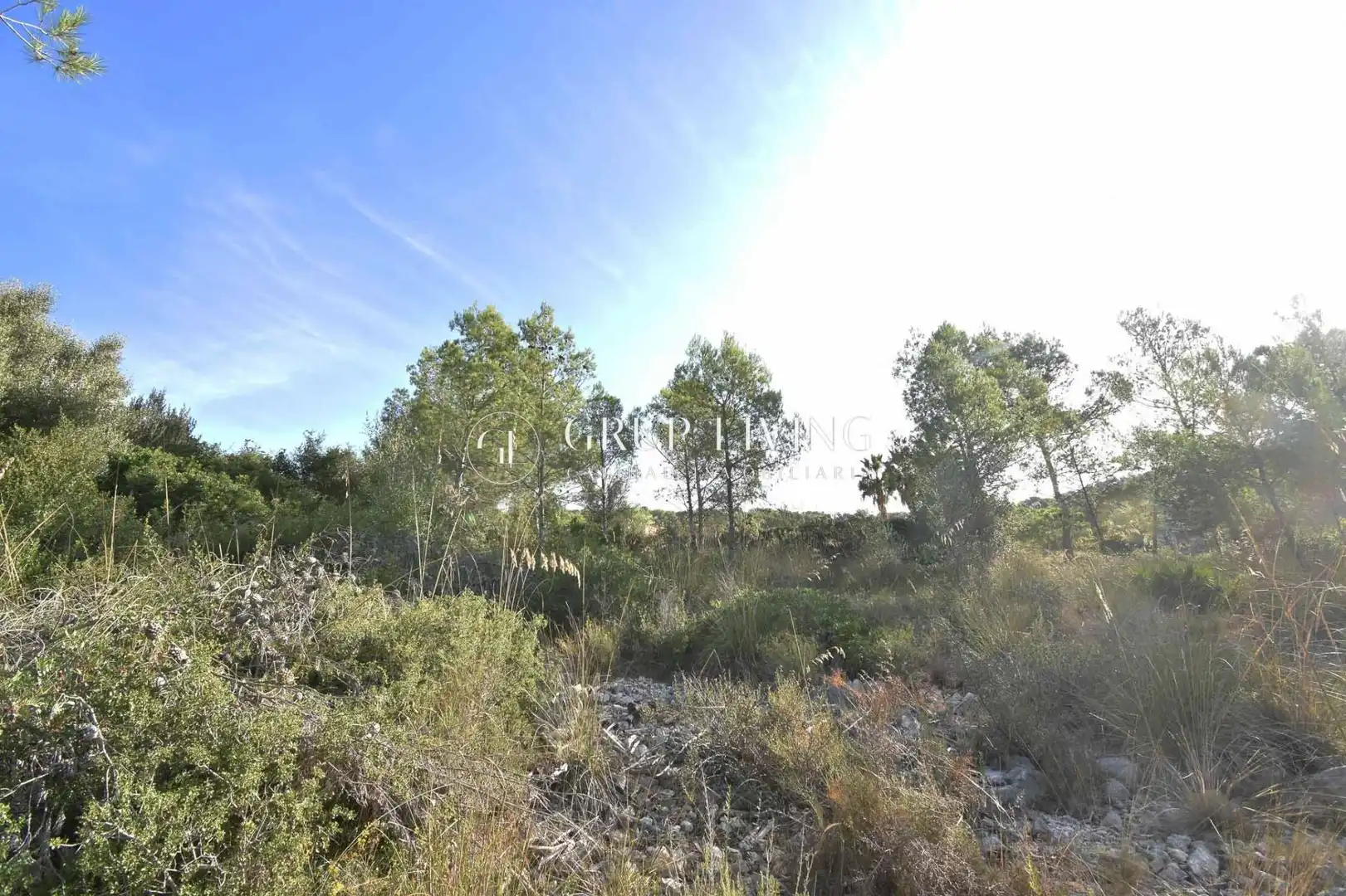 Terreno residencial en venta en Olivella, imagen 8