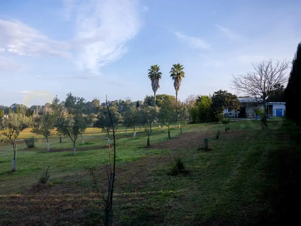 Houses for sale in Jerez de la Frontera