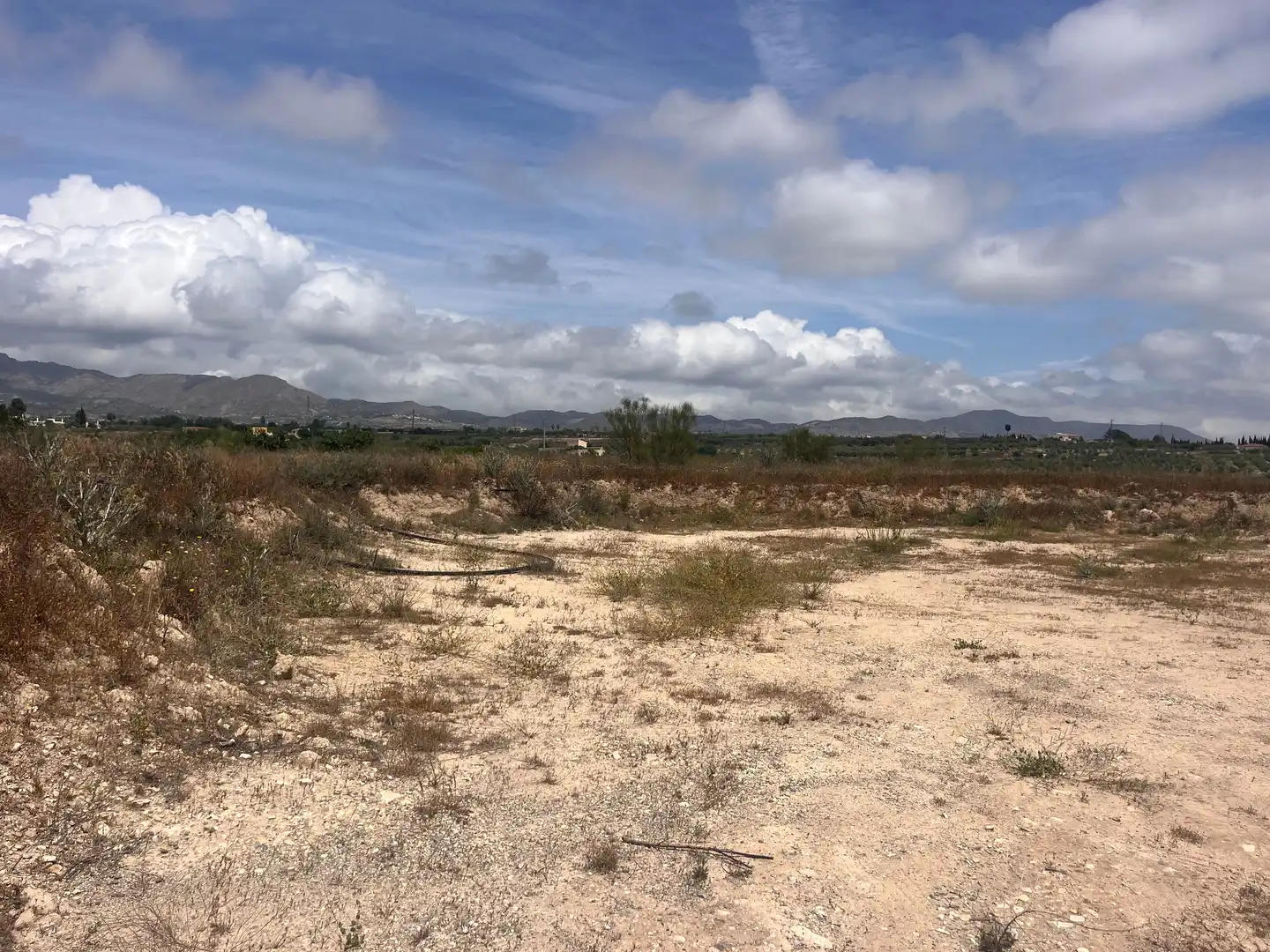 Terreno rustico in vendita a Polígono Polígono 11 Parcela 102 SERVALICO