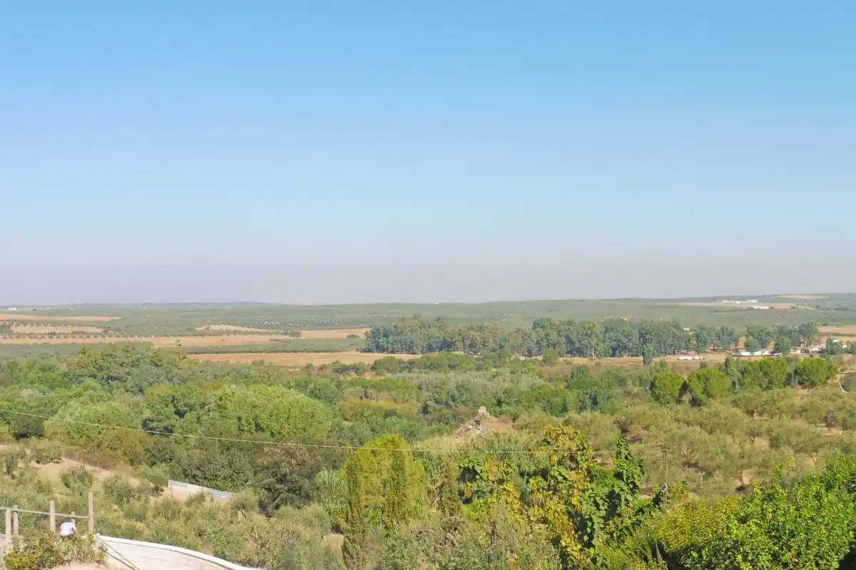 Houses for rent in Aznalcázar