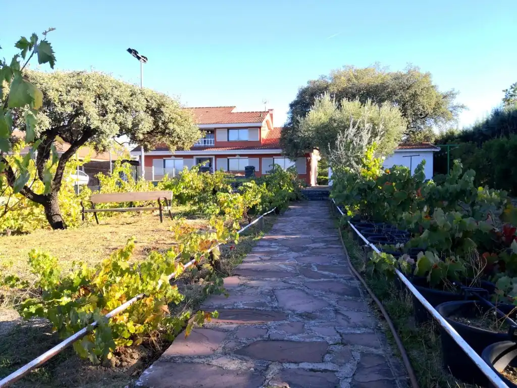 Casa o xalet en venda en Las Rozas de Madrid