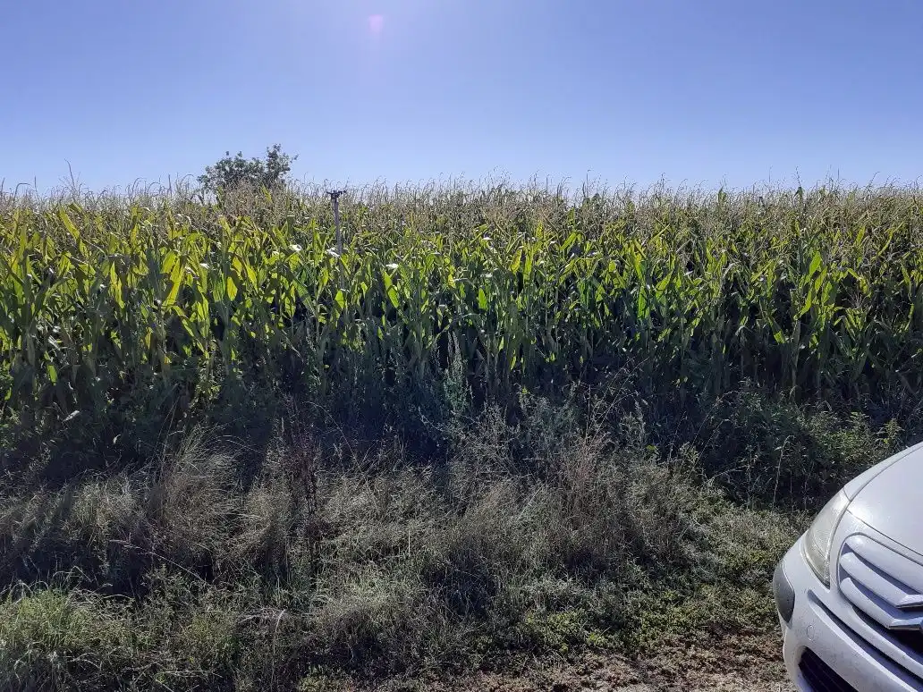 Terreni e lotti in vendita a Área Rural, imagen 3