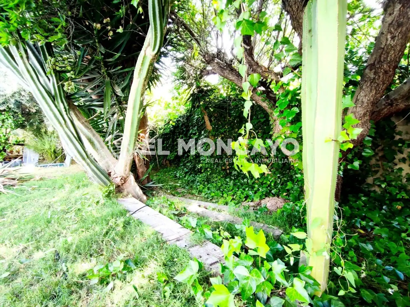 Casa con piscina in vendita a Calle MAYOR, imagen 26