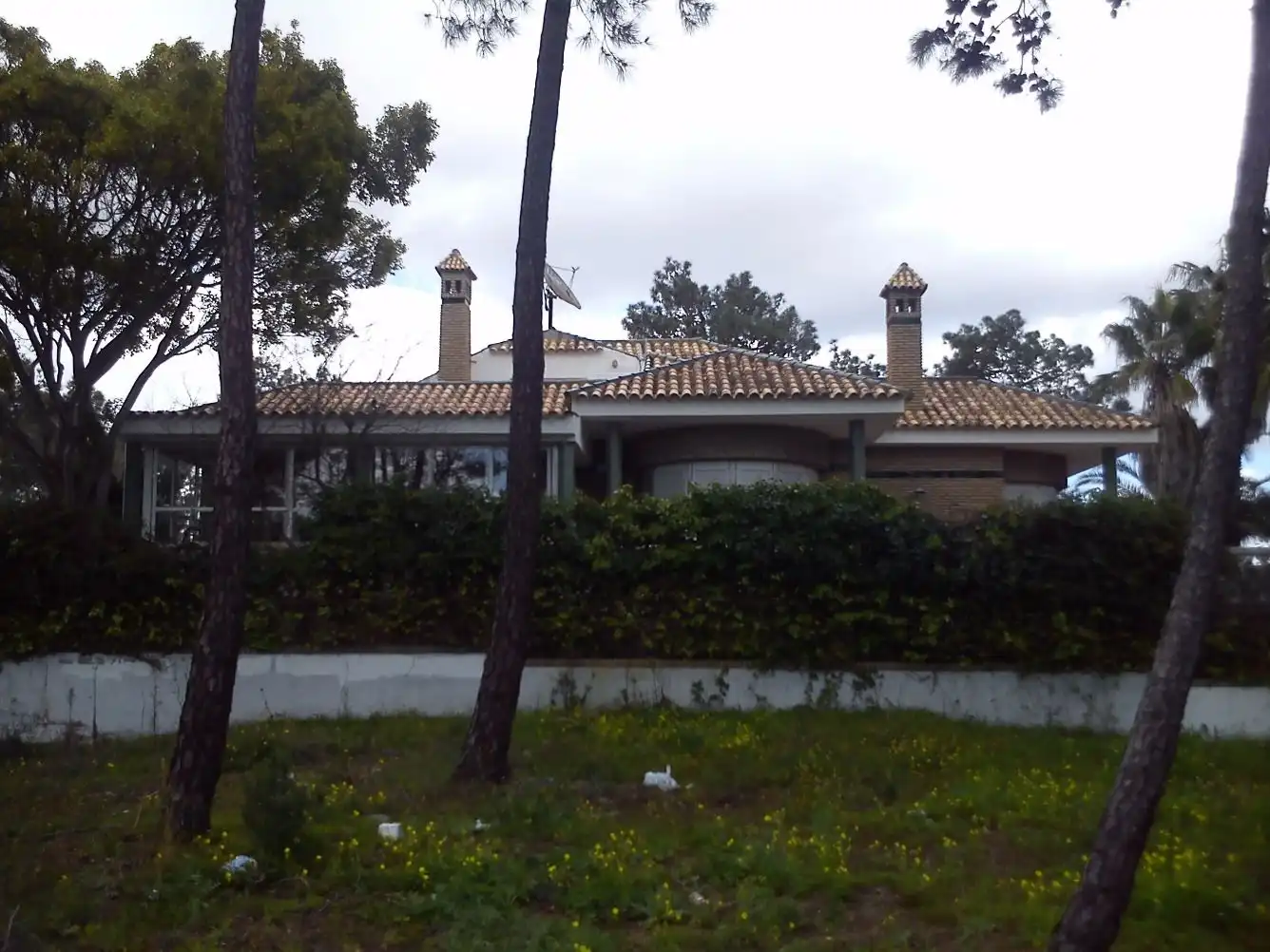 Vista exterior de Casa o xalet en venda en Lepe amb Aire condicionat, Jardí privat i Terrassa