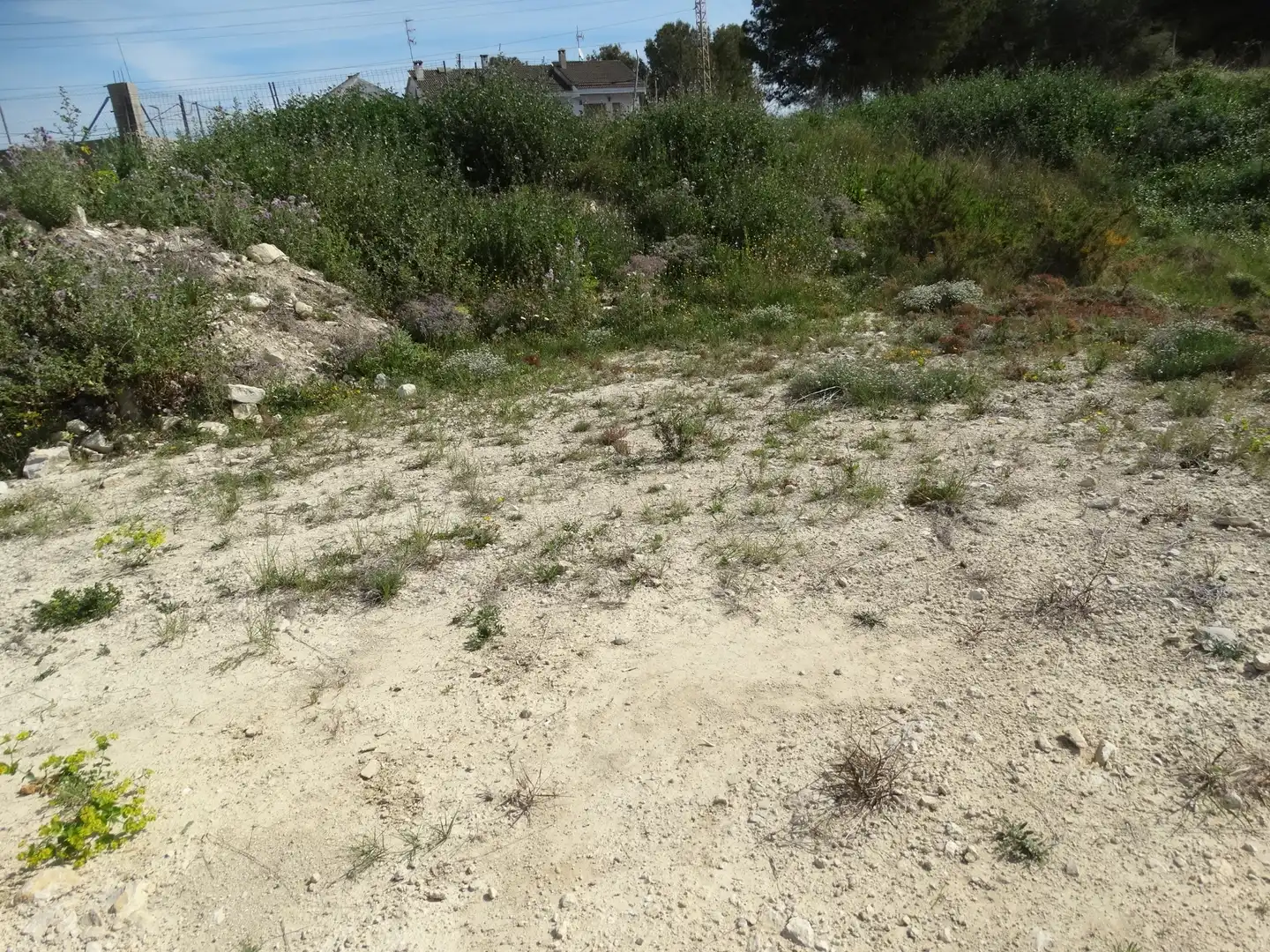 Terreny residencial en venda a Canyelles, imagen 5