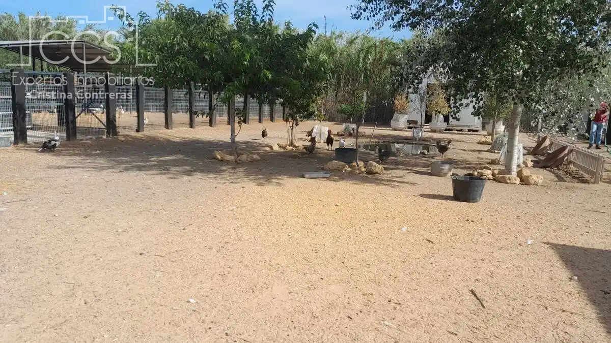 Casa rústica amb jardí en venda a Almonte ciudad, imagen 41