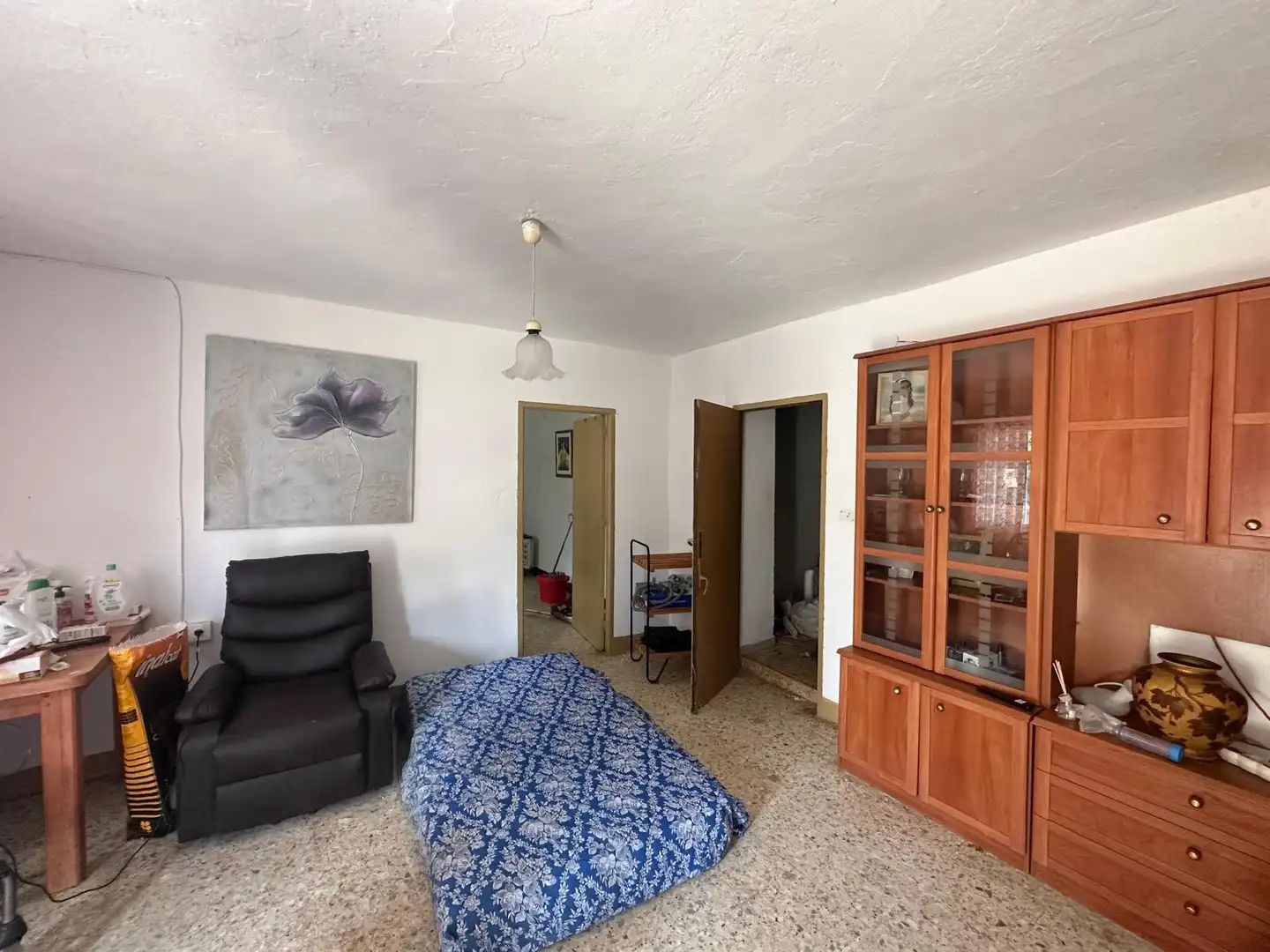 Sala d'estar de Finca rústica en venda en Conil de la Frontera