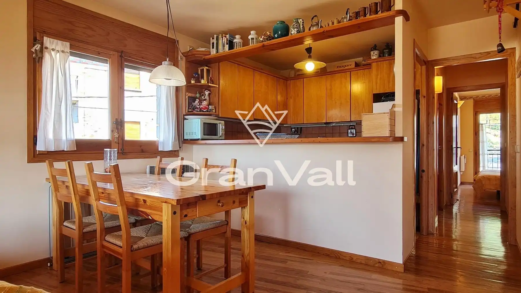 Cuina de Apartament en venda en Alp amb Calefacció, Jardí privat i Parquet