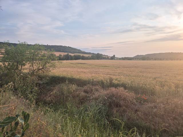 Terreno en Venta en N/A, -1 en Cervera