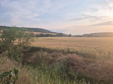 Rustikales Grundstück zum Verkauf in Cervera