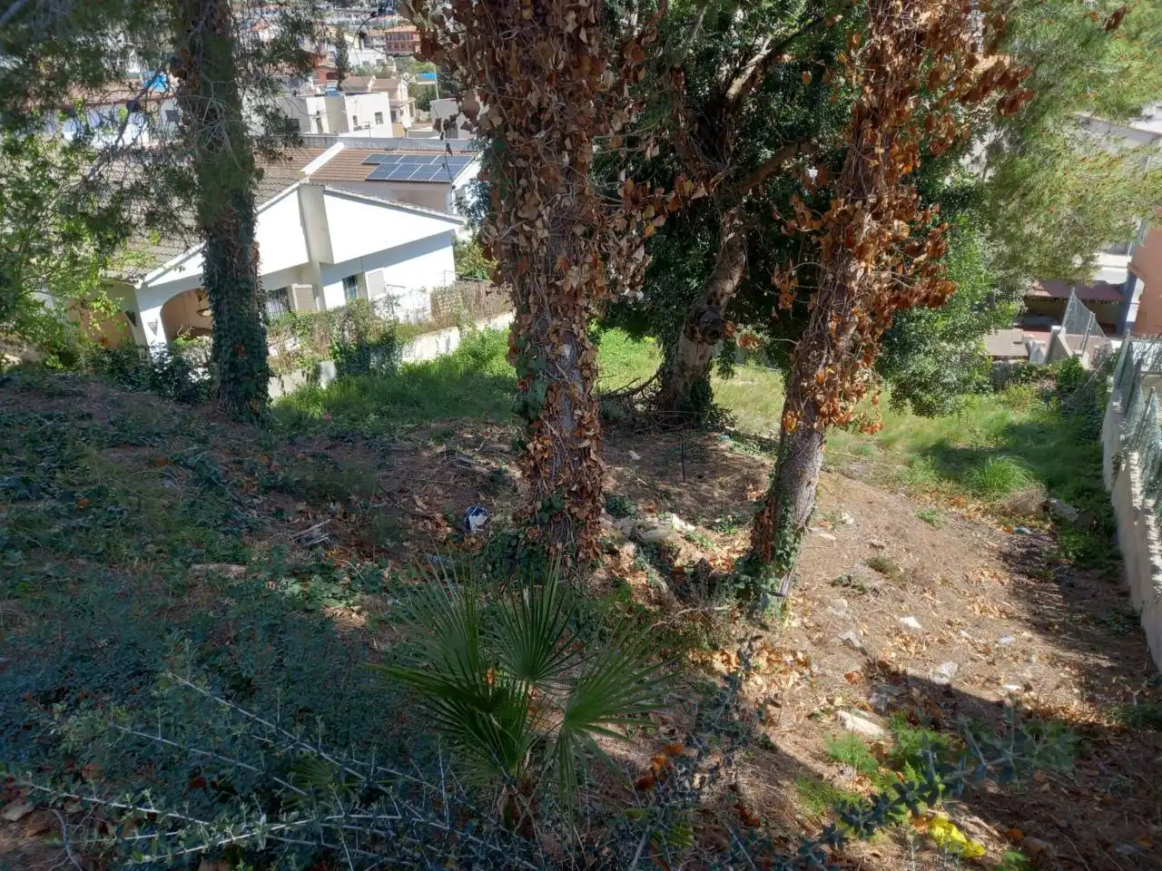 Terrain rustique à vendre à Calle HORTENSIA 13, imagen 3