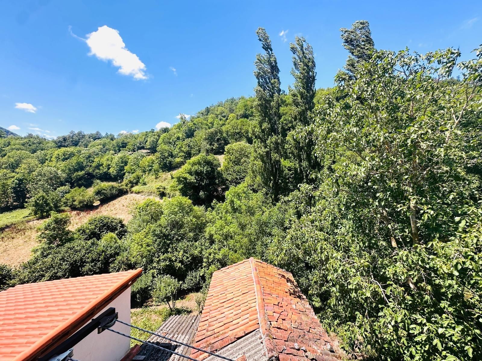 Exterior view of Country house for sale in Teverga  with Private garden and Terrace