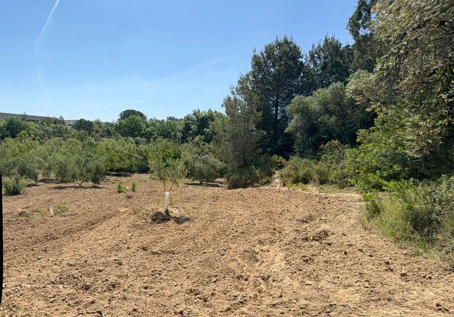 Rustikales Grundstück zum Verkauf in Camí del Cementiri 97, imagen 7