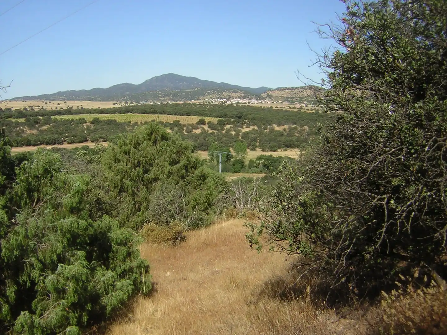 Rural land for sale in Almorox, imagen 7