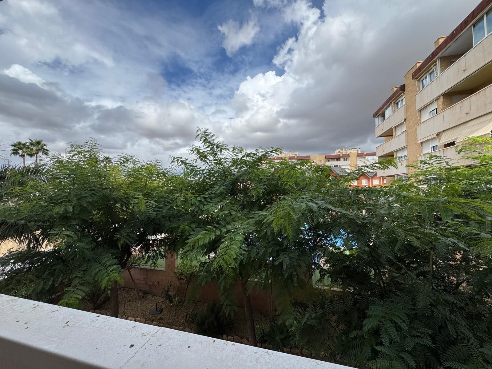Vista exterior de Pis en venda en Elche / Elx amb Calefacció, Jardí privat i Terrassa