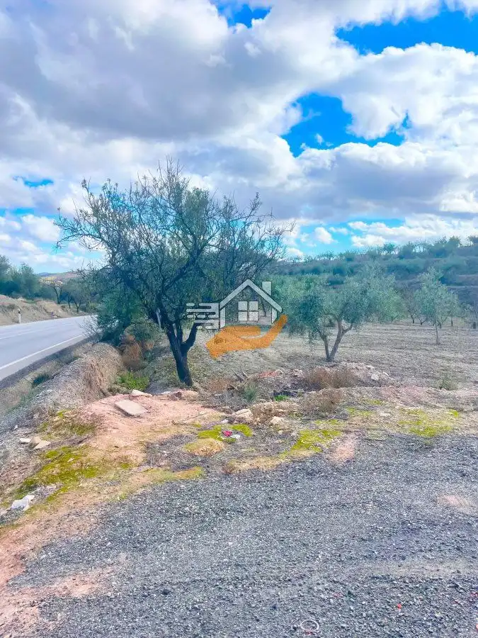 Residential land for sale in Vélez-Rubio, imagen 8