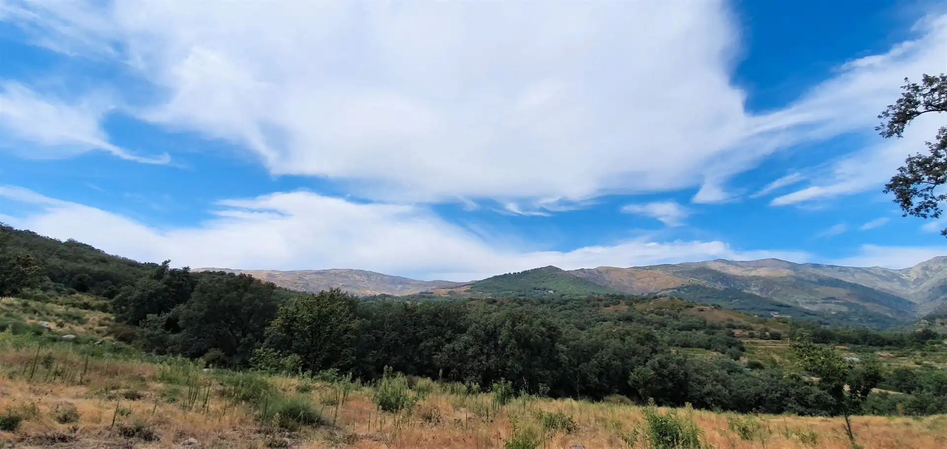 Terreni e lotti in vendita a Jarandilla de la Vera, imagen 10