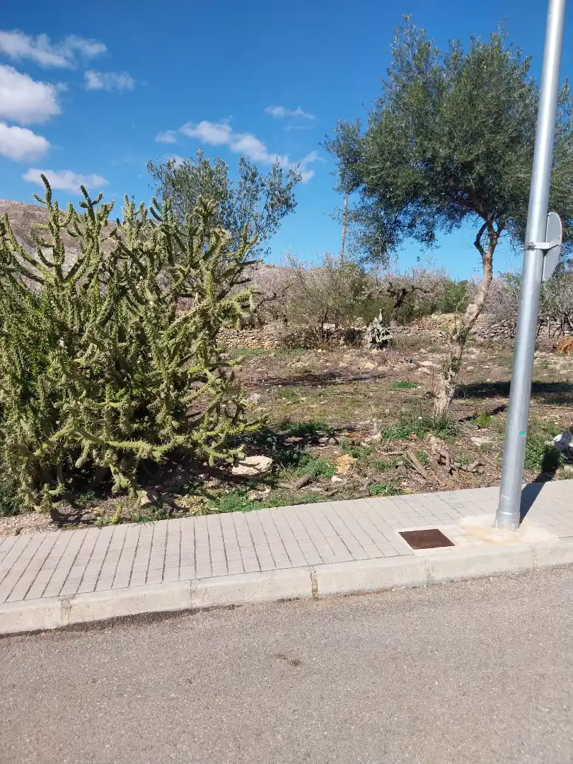 Terreny residencial en venda a Calle San Cristòfol 8, imagen 4