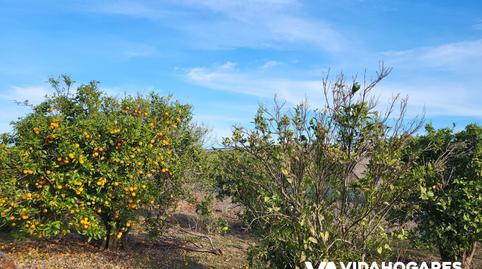 Foto 5 de Finca rústica en venta en Norte - Blanca Paloma, Rota