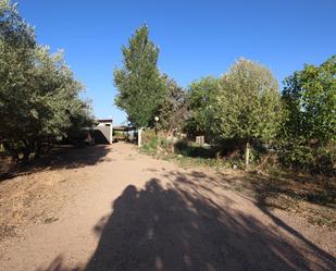 Jardí de Casa o xalet en venda en Torremayor amb Aire condicionat, Terrassa i Piscina